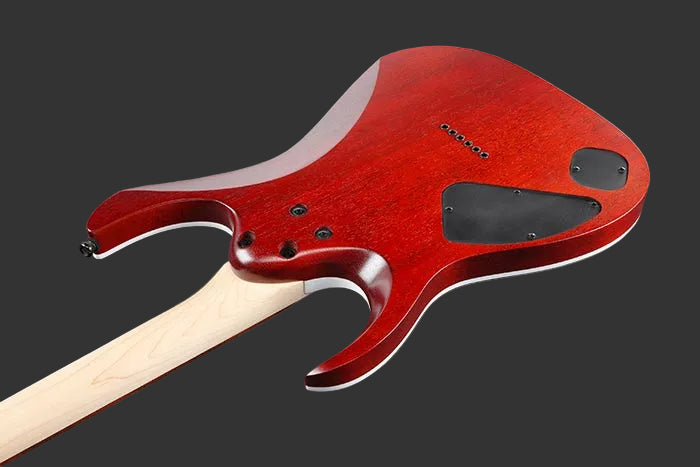 Ibanez RGA Series Flamed Maple Electric Guitar w/ Jatoba Fingerboard- Transparent Gray Flat