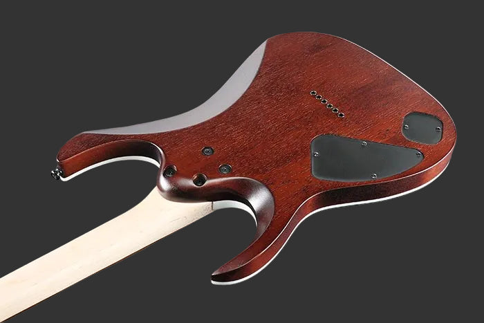 Ibanez RGA Series Electric Guitar w/ Jatoba Fingerboard - Dragon Eye Burst Flat